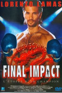  Последний удар 